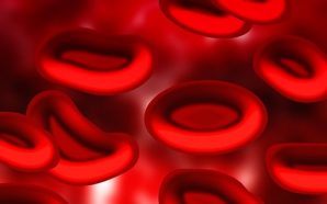 What you Should Know about Blood Clots