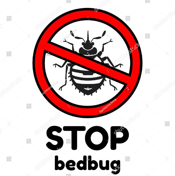 Tips For Bed Bug Control